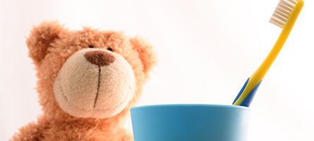 Teddy Bear and a Tooth Brush
